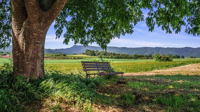 Pozycjonowanie agroturystyki