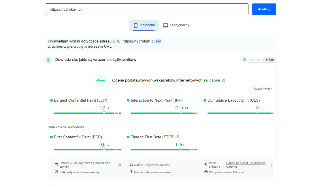 wskaźniki wydajności strony hydrobim.pl